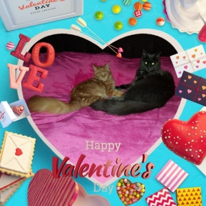 Krásného Valentýna všem !